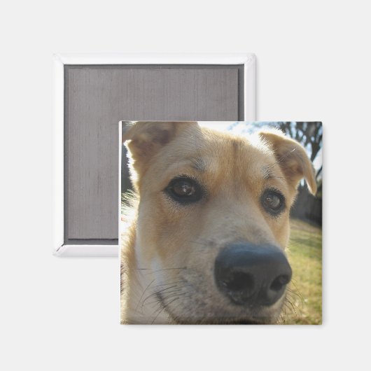 Weekend Dexter Magnet (Voorkant / Achterkant)