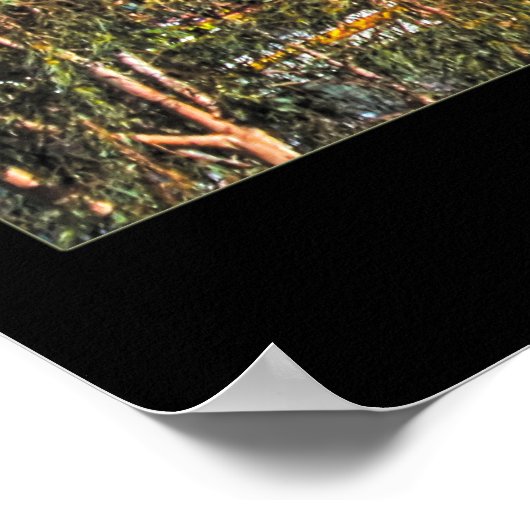 Weekend in Paradise Channel Wall Art Poster (Hoek)