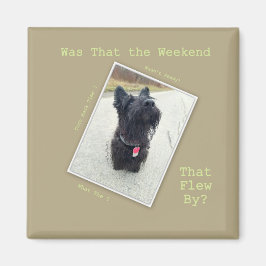 Weekend ... Welk Weekend? Magneet