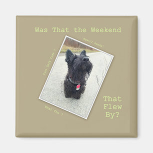 Weekend ... Welk Weekend? Magneet