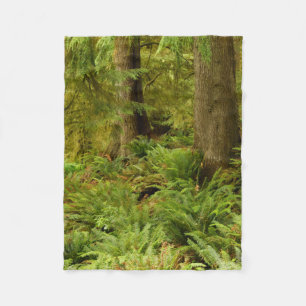 Weelderig bos en varens Ecola State Park, Oregon Fleece Deken