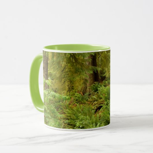 Weelderig bos & varens | Ecola State Park, Oregon Mok (Voorkant links)