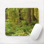 Weelderig bos & varens | Ecola State Park, Oregon Muismat (Met muis)