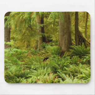 Weelderig bos & varens Ecola State Park, Oregon Muismat