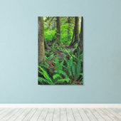 Weelderig Groen Bos Scenisch Canvas Afdruk (Insitu (Houten vloer))