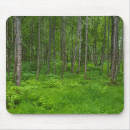 Weelderig groen boslandschap scène muismat