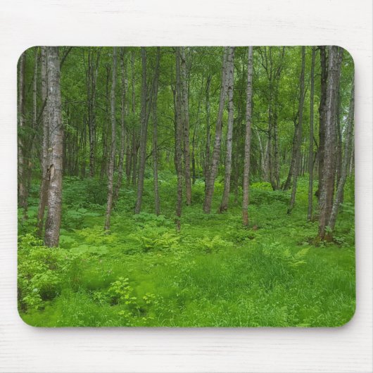 Weelderig groen boslandschap scène muismat (Voorkant)