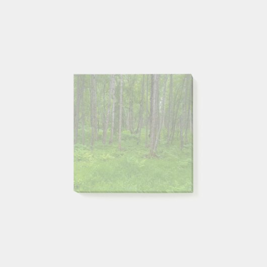 Weelderig groen boslandschap scène post-it® notes (Voorkant)