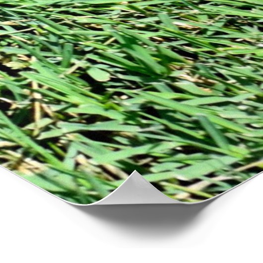 Weelderig groen gazon gras poster (Hoek)