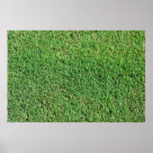 Weelderig groen gazon gras poster (Voorkant)