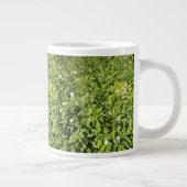 Weelderig groen veld grote koffiekop (Rechts)