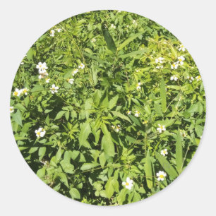 Weelderig groen veld met bloemen ronde sticker