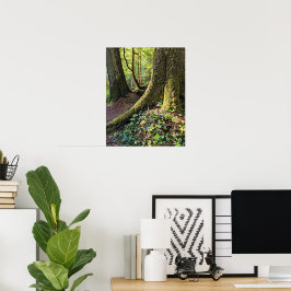 Weelderig Groene Bos Fotografische Natuur Poster
