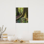 Weelderig Groene Bos Fotografische Natuur Poster (Keuken)