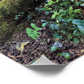 Weelderig Groene Bos Fotografische Natuur Poster (Hoek)