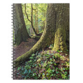 Weelderig Groene Bos Notitieboek (Voorkant)