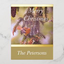 Weelderig Monogram Rode Vogel Dennentak Folie Feestdagen Briefkaart