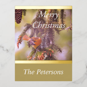 Weelderig Monogram Rode Vogel Dennentak Folie Feestdagen Briefkaart