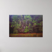 WEELDERIG REGENWOUD 32x48 Canvas Afdruk (Voorkant)