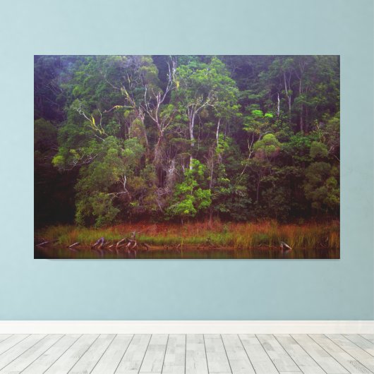 WEELDERIG REGENWOUD 40x60 Canvas Afdruk (Insitu (Houten vloer))