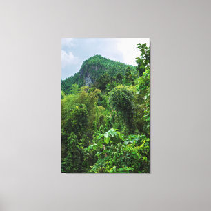 Weelderig regenwoud en El Yunque-piek Canvas Afdruk