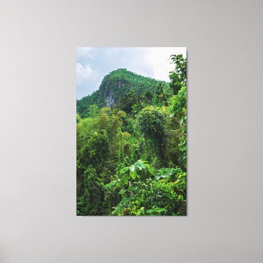 Weelderig regenwoud en El Yunque-piek Canvas Afdruk (Voorkant)