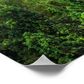 Weelderig regenwoud en El Yunque-piek Poster (Hoek)