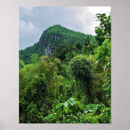 Weelderig regenwoud en El Yunque-piek Poster (Voorkant)