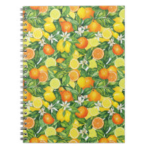 Weelderig Waterverf Citrus Fruit Spiraal Foto Noti