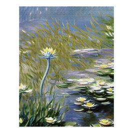 Weelderige Agapanthus bloemen bij Giverny Foto Afdruk