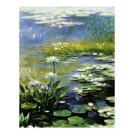 Weelderige Agapanthus bloemen bij Giverny Foto Afdruk