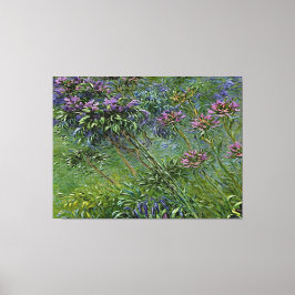 Weelderige en levendige afbeelding van Agapanthus- Canvas Afdruk
