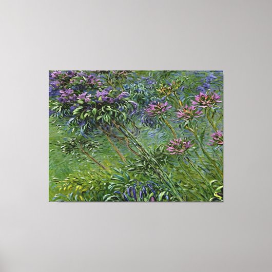 Weelderige en levendige afbeelding van Agapanthus- Canvas Afdruk (Voorkant)