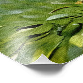 Weelderige en levendige afbeelding van Agapanthus- Foto Afdruk (Hoek)