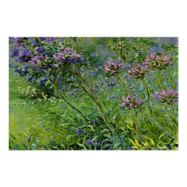 Weelderige en levendige afbeelding van Agapanthus- Perfect Poster