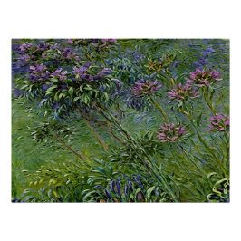 Weelderige en levendige afbeelding van Agapanthus- Perfect Poster