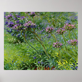 Weelderige en levendige afbeelding van Agapanthus- Poster