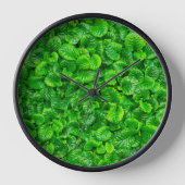 Weelderige groene bladeren  (Voorkant)