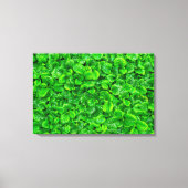 Weelderige Groene Bladeren Canvas Afdruk (Voorkant)