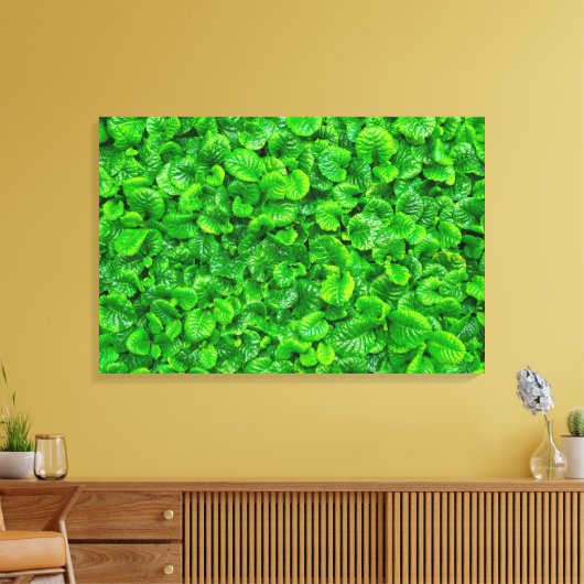 Weelderige Groene Bladeren Canvas Afdruk (Insitu (Woonkamer))