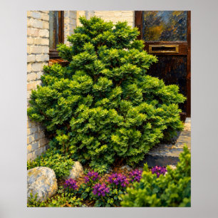 Weelderige groene struik naast een huisdeur poster