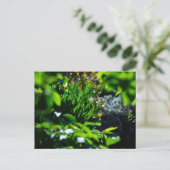 Weelderige groene tuin briefkaart (Staand voorkant)