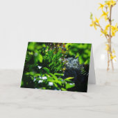 Weelderige groene tuin kaart (Gele Bloem)