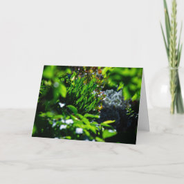 Weelderige groene tuin kaart