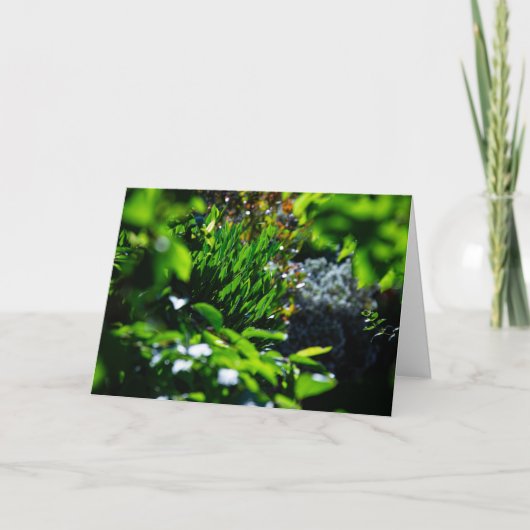 Weelderige groene tuin kaart (Voorkant)