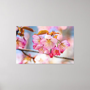 Weelderige Sakura Bloemen In De Lentetuin Canvas Afdruk