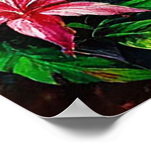 weelderige tropische waterval poster (Hoek)