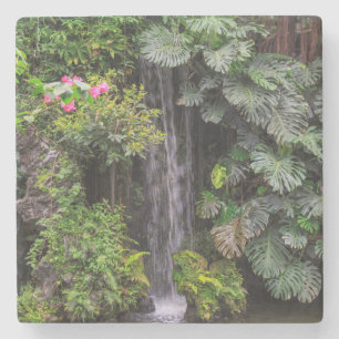 Weelderige Tuin Waterval, China Stenen Onderzetter