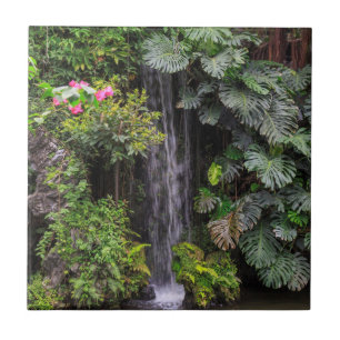 Weelderige Tuin Waterval, China Tegeltje