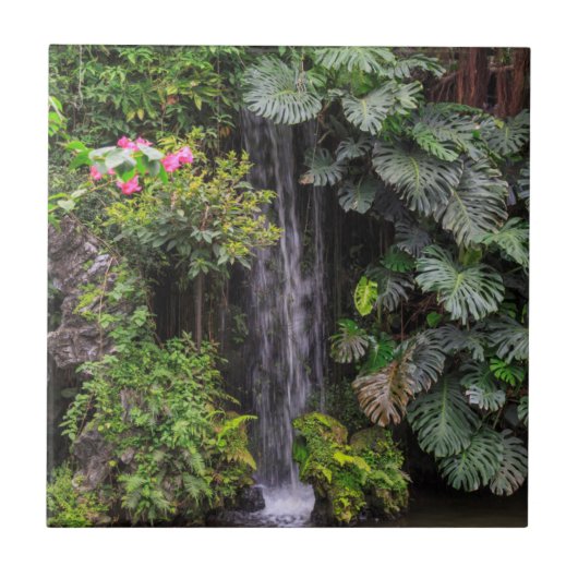 Weelderige Tuin Waterval, China Tegeltje (Voorkant)
